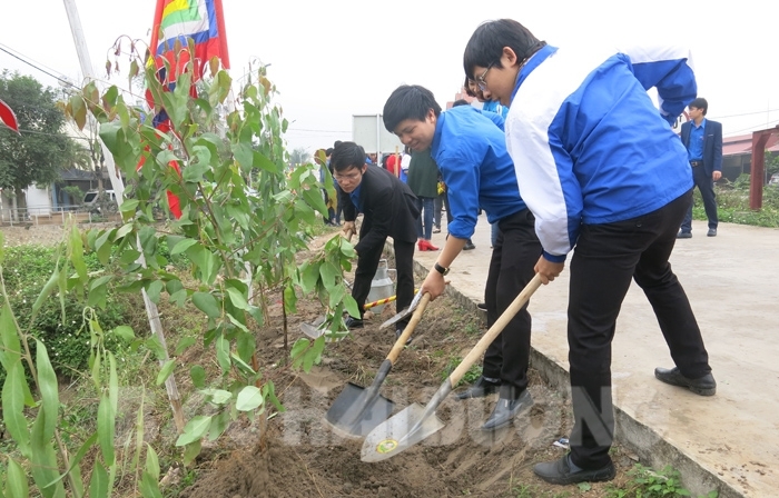 Ban Quản lý di tích  Côn Sơn - Kiếp Bạc với phong trào tuổi trẻ  tích cực trồng cây