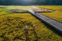 Chuẩn bị khởi tranh giải đấu “Club Championship” lần thứ 11 của Laguna Golf Lăng Cô